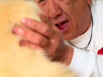 おじいちゃんが初めて『大型犬の子犬と会った』結果→まるで本当の孫のような『あまりにも尊い光景』が129万再生「涙が溢れた」「幸せ確定」