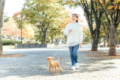 散歩する女性と犬