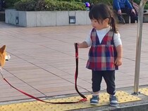 小さな女の子が『階段で犬のリードを引いた』結果…思わず応援したくなる『まさかの光景』が186万再生「子供にも容赦なくて草」「発動ｗｗ」