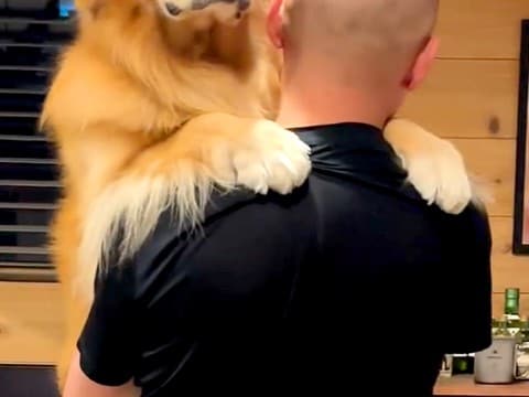 お父さんに抱っこをせがむ大型犬→なぜか元気がなくて…不機嫌になった『可愛すぎる理由』が151万再生「お口がへの字w」「正直でよろしいw」