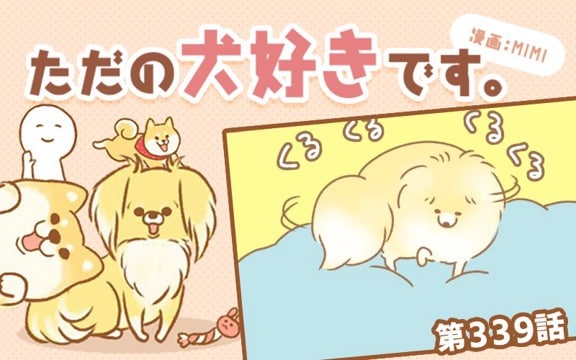 ただの犬好きです。【第339話】「寝床」