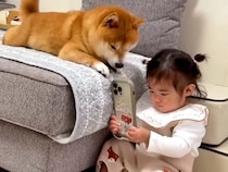 1歳の女の子が『犬をスマホで撮影』しようとしたら…家族愛を感じる『微笑ましい光景』に21万再生の反響「最高に癒される」「理想的なご家族」