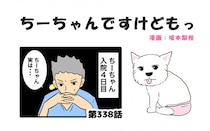 ちーちゃんですけどもっ【第338話】「ちーちゃんが退院したわけ」