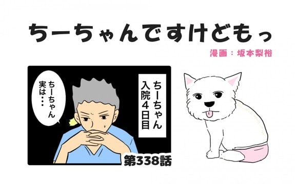 ちーちゃんですけどもっ【第338話】「ちーちゃんが退院したわけ」