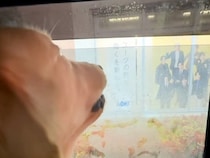 車内から『看板に吠えていた』大型犬→窓を開けてみた結果…まさかのリアクションがたまらないと話題「可愛すぎて無理」「体大きいのに…ｗｗ」