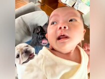 朝、赤ちゃんを抱いて『犬におはようの挨拶をしに行った』結果→テンションMAXで『大歓迎する光景』に反響「元気いっぱい」「なめ回されそうｗ」