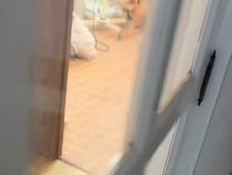 トリミングサロンへ犬を迎えに行った結果→『再会を喜んでくれる』と思いきや…期待を裏切る『まさかのリアクション』に爆笑「保育園みたいｗ」