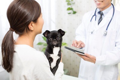 犬を抱きながら獣医師と会話する女性