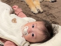 『赤ちゃんの寝かしつけ』に途中参加してきた犬→思っていたのと違う『まさかの光景』が7万再生「なんて可愛い」「心が和んだ」「幸せな時間」