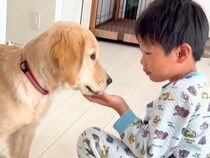 朝、起きたばかりの大型犬と男の子→あまりにも尊い『大好きを伝え合う光景』に絶賛の声「絶対に優しい大人になる」「仕事の疲れが吹っ飛んた」