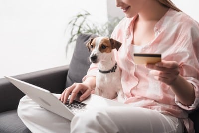 カードを持つ女性とパソコン見る犬