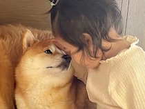 子供が苦手だった犬→1歳の女の子が『愛情を注いだ』結果…素敵すぎる『心を開いた様子』が20万再生「可愛すぎる」「心が穏やかになる」