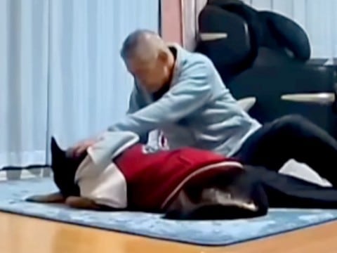 大型犬を実家に預けたら、おじいちゃんとふたりきりでお留守番することになり…ずっと見ていたくなる『尊い光景』に反響「和んだ」「幸せな日常」