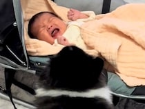 犬が暮らす家に、赤ちゃんが生まれた結果…心温まる『初対面と成長記録』にSNSで反響「気付いたら泣いてた…」「なんて尊い姿なの」