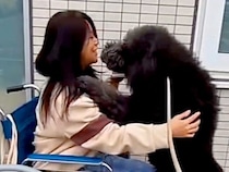 『交通事故で入院したお母さん』に会いに来た大型犬→姿を見つけた瞬間に…思わず涙する『再会の光景』が27万再生「素晴らしい絆」「感動した」