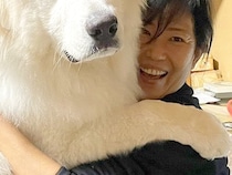 『こ、子犬とは…？』おばあちゃんのことが大好きな生後8ヶ月の超大型犬→もはやシロクマな『衝撃の光景』に4万いいね集まる「デカすぎるｗｗ」