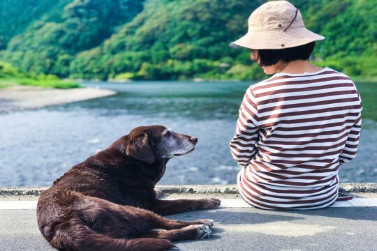 犬の『高齢化を遅らせる』ためにできること3つ シニア期を迎えた愛犬がみせる行動まで