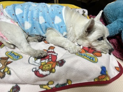ちーちゃん