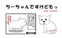 ちーちゃんですけどもっ【第339話】「購入した後に」
