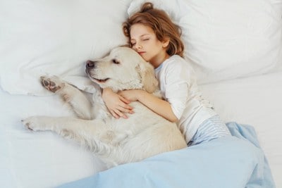 大型犬と眠るこども