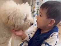 おじいちゃんとおばあちゃんが『生後７ヶ月の孫』を預かった結果→犬も様子を見に来て…家族が見せた『愛おしいシーンの数々』に注目集まる
