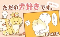 ただの犬好きです。【第341話】「満足度」