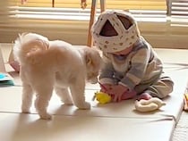 赤ちゃんと犬を『こっそり隠し撮りした』結果→ふたりでおもちゃを…心が通じ合っている『幸せに溢れた光景』に反響「優しい世界」「癒される」