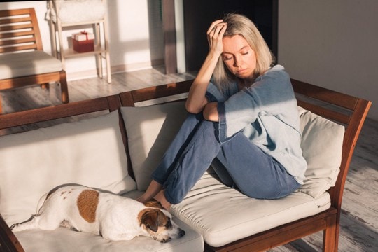 犬を最優先にしすぎることで起こるリスクとは？飼い主が陥りやすい状況や対策まで