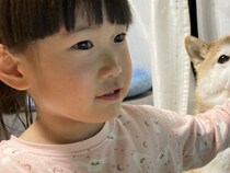 女の子が食べているチキンライスをもらいたい犬→まさかの『手慣れ過ぎている光景』が100万表示「的確なノールックｗｗ」「強者感あって草」