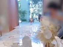 リングドッグに挑戦した６歳の犬→完璧にこなしたかと思いきや…まさかの『態度の急変っぷり』に爆笑「あげるあげる詐欺ｗｗ」「頑張ったね」