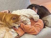 お出かけで疲れ果てた1歳の女の子と犬2匹→ママの上に乗っかって…尊すぎる『疲れの癒し方』が26万再生「幸せの重さ全開」「たまらん…」