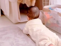 赤ちゃんがハイハイで『大型犬のクレートに近付いた』結果→戸惑ってしまい…困り果てる光景が可愛いと反響「配慮が素晴らしい」「視線たまらん」