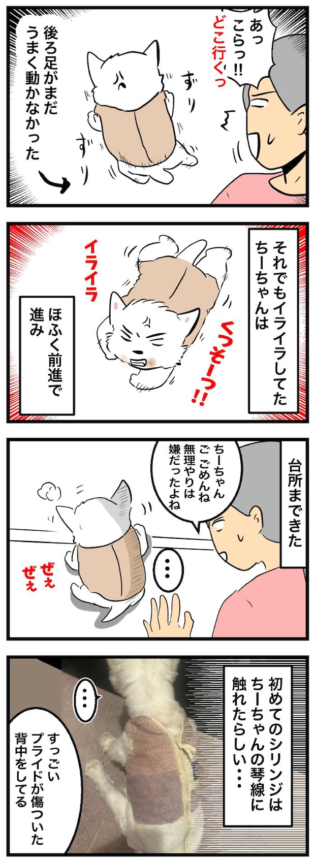 ちーちゃんですけどもっ【第340話】２