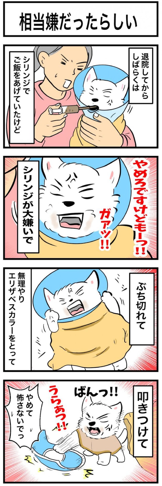 ちーちゃんですけどもっ【第340話】　1