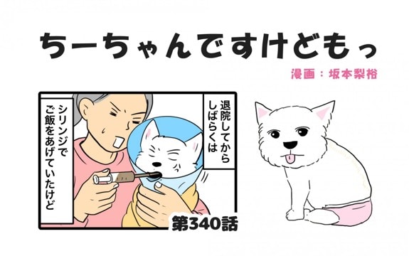 ちーちゃんですけどもっ【第340話】「相当嫌だったらしい」