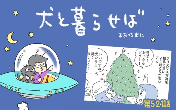 犬と暮らせば【第521話】「聖夜の罠」