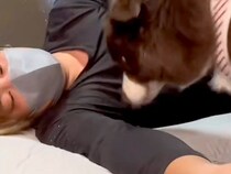 犬の為に『布団のスペース』を空けてあげたら…想定外だった『愛おしすぎる行動』が297万再生「本当に可愛くて人間っぽい」「大好き溢れてる」