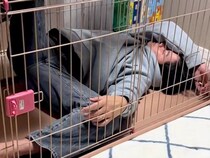 酔っ払ってベロベロのパパ→犬のケージから出れなくなり…思わず吹き出してしまう光景が243万再生「立場逆で草」「犬に叱られてるｗｗ」