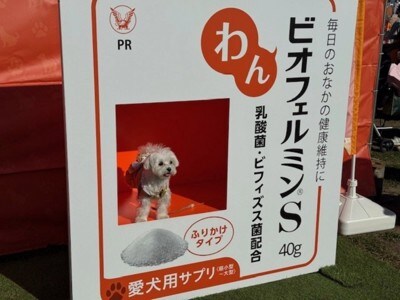 なりきり撮影