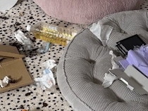 『推しのDVD』を見るのが好きな大型犬→留守番中に流し忘れた結果…衝撃的な光景が169万表示「差がエグすぎるｗ」「あっ…てなるやつ」