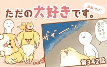 ただの犬好きです。【第342話】「どうして今」