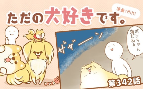 ただの犬好きです。【第342話】「どうして今」