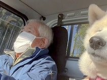16歳の老犬がおじいちゃんとドライブ→特等席の助手席に乗って…『あまりにも尊すぎる光景』が16万再生「本当にいいコンビ」「相思相愛」