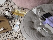 『推しのDVD』を見るのが好きな大型犬→留守番中に流し忘れた結果…衝撃的な光景が169万表示「差がエグすぎるｗ」「あっ…てなるやつ」