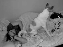 夜、飼い主と一緒に寝る元保護犬→突然起き上がり…カメラが映した『まさかの行動』が泣けると3万いいね「可愛すぎて涙が出た」「私も混ぜて」