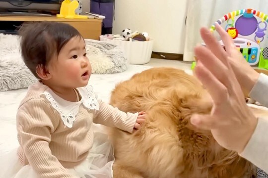 0歳の赤ちゃんに『バイバイ』を教えていたら、犬たちが『お別れ』と勘違いして…態度が豹変する光景が45万再生「愛強すぎw」「感受性すごい」