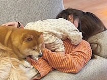 お出かけで疲れ果てた1歳の女の子と犬2匹→ママの上に乗っかって…尊すぎる『疲れの癒し方』が26万再生「幸せの重さ全開」「たまらん…」