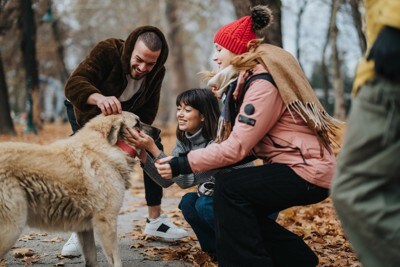 犬と人間グループ