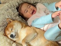 いつも日向ぼっこをしている犬→1歳の女の子も真似をして…幸せが溢れている『位置取り争奪戦』が27万再生「仲良しで癒される」「可愛い」