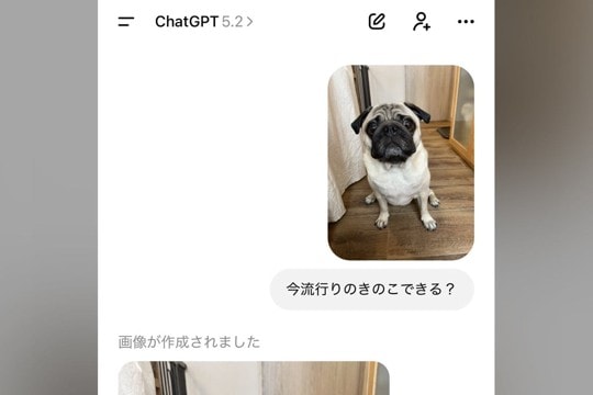 ChatGPTに『今流行りのきのこできる？』と犬の写真を送った結果→完全に想定外だった結末が250万表示「うちも酷いことにｗ」共感の声も